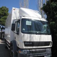 Daf LF